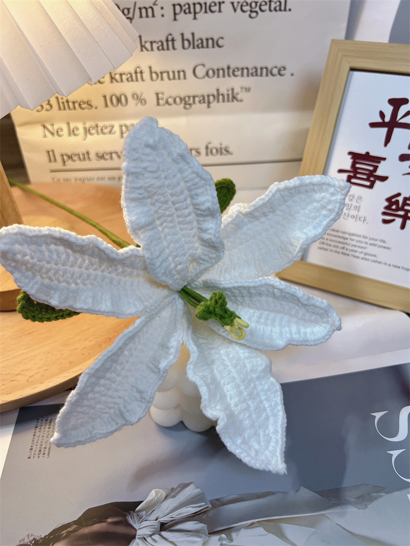 450g Weight Crochet Flowers Home Textiles & Decor Type Artificial Plant Event & Party Supplies 1 Piece Quantity Casual, Home, Daily Occasion yarn Material Flower Pattern Pastoral Style Pastoral Flower Yarn Crochet Flowers Artificial Flowers 6