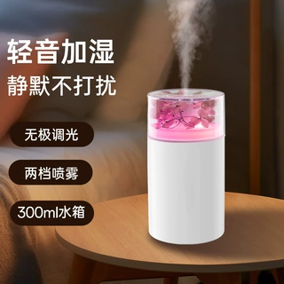 新款车载居家迷你永生花加湿器便携可加水性精油宿舍办公桌面喷雾