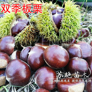 �p�������� һ��ɴι� �p���Y�������޽��箔��Y���Ϸ������Nֲ
