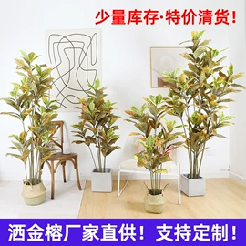 仿真绿植;仿真盆栽