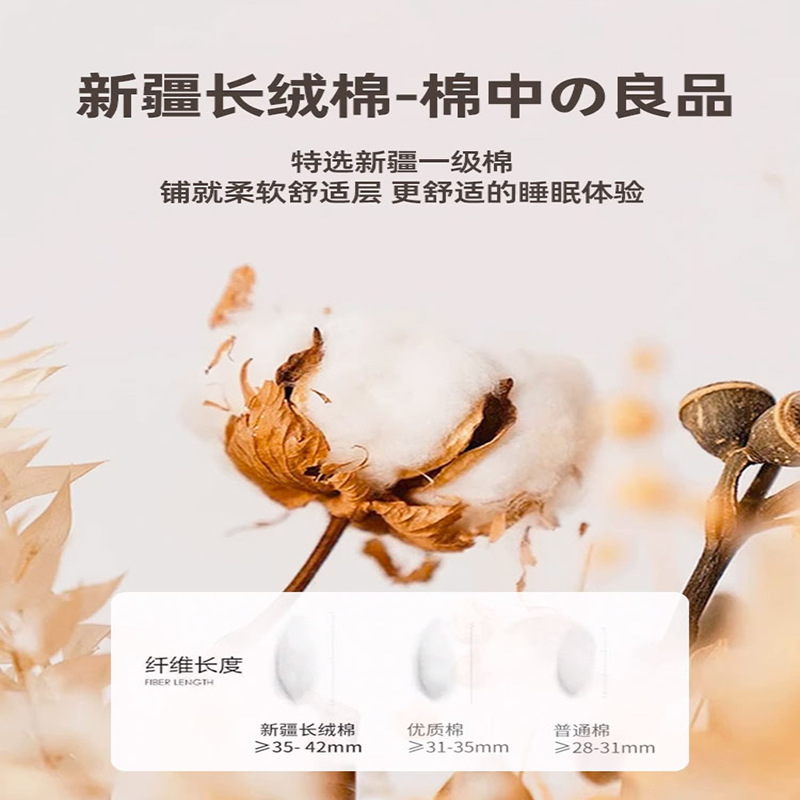 綿マットレスクッション家庭用寝室畳学生寮シングルベッドマットレス底レンタルマット