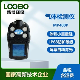 其他环境检测;其他气体分析;其他仪器仪表
