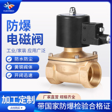 批发定做黄铜防爆电磁阀220v24水阀气阀电子管道开关控制阀门铜阀