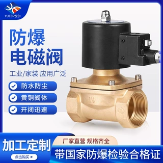 批发黄铜防爆电磁阀220v24水阀气阀电子管道开关控制阀门铜阀