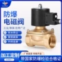 防爆控制电子220v24阀门