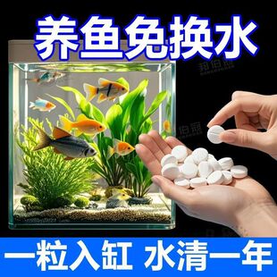 �~�׃�ˮƬ���峺����ˮ�|����ȥ���~��ˮ�����~����ˮ�B�~��ˮ��