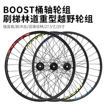 WTB山地自行车桶轴轮组29/27.5寸BOOST软尾车高强度轮毂林道AM/DH