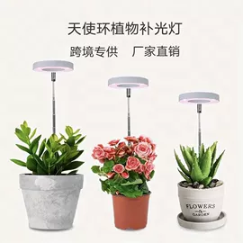 植物生长灯;紫外线灯;装饰台灯