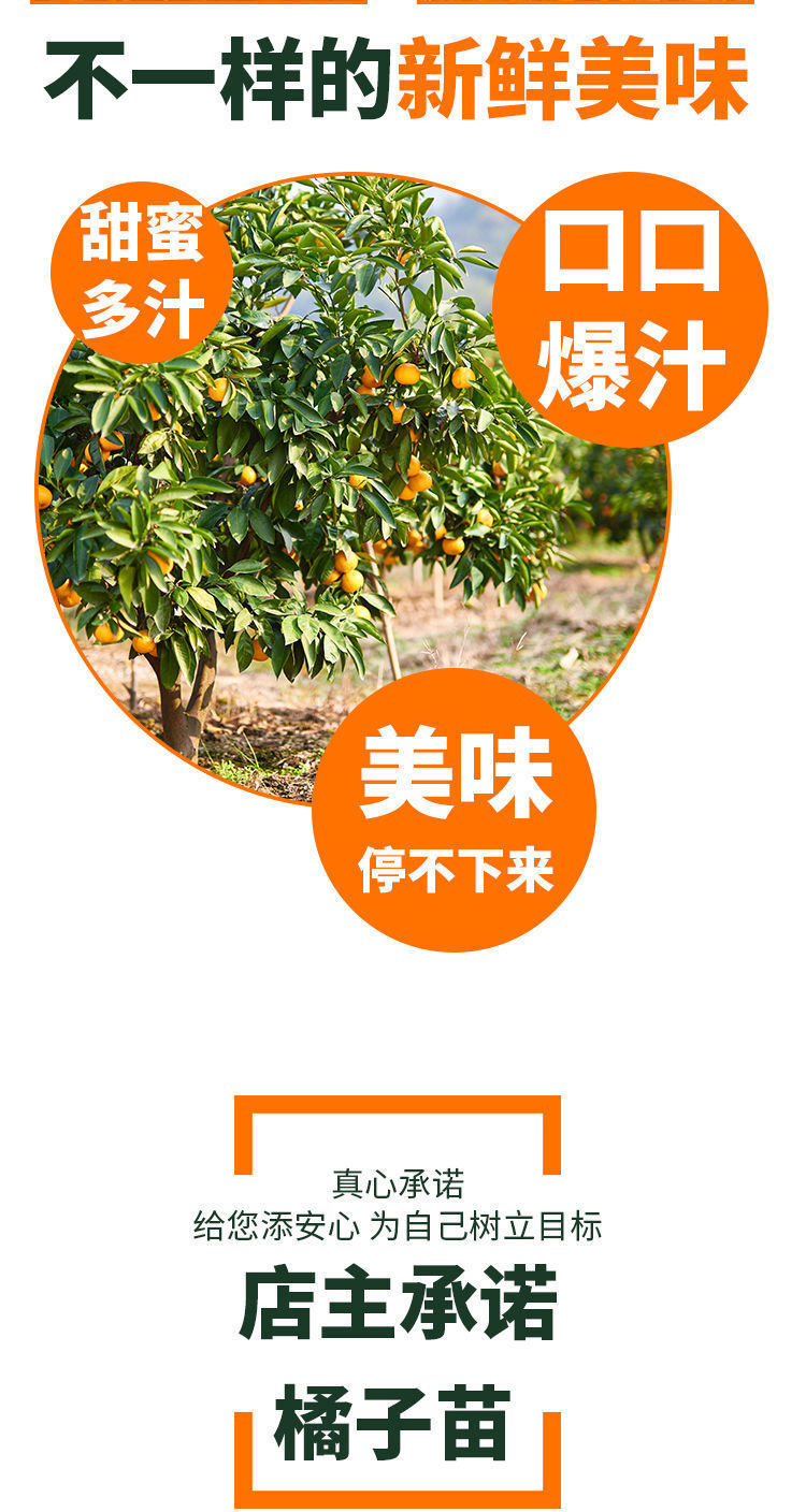 c9be994e-fa47-4cc2-aca2-5d81f6