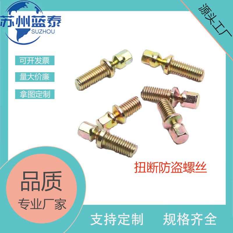 Take the Picture to Customize Stainless Steel Torque Twist-Off Anti-Theft Screws, Car Ignition Steering Locks, and Anti-Disassembly Bolts