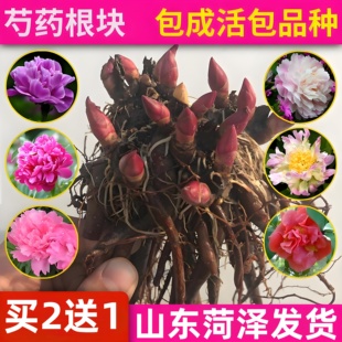 �ذ���ș��������ͥԺ�����ļ�ȫ���l؛�[���̨�͏d��ș��ĵ���l