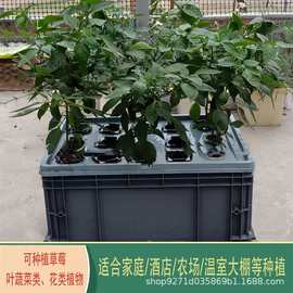 气雾栽培箱阳台无土栽培蔬菜种植机水培设备家用种菜瓜果家庭专用