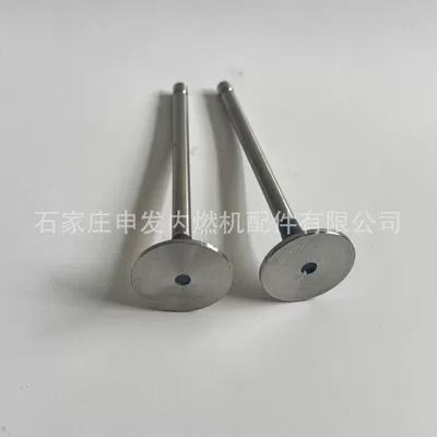 5307875, exhaust valve – Valves and components