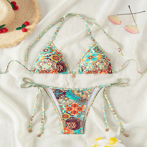 Bikini Swimwear 2025 European and American Printed Sexy Bikini Beach Hot Spring Swimwear for Women