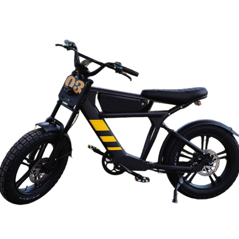 Bicicleta eléctrica de montaña transfronteriza FT - 03 EBIKE 750W / 1000W vehículo eléctrico
