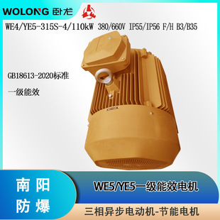 YE5-315S-4WF2-110kW-380V-IP55-F B35 THWF1 SKF�S�� һ����Ч