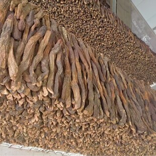 �iꖂ��������l���ɹŰ����ƴ�Į���i��ݾ��ݲ����a��Į���x�i�