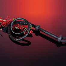 Ƥ���¿�p�̾� ������`�{�̱��ӷ�����Ȥ��Ʒ����������Ƥ��