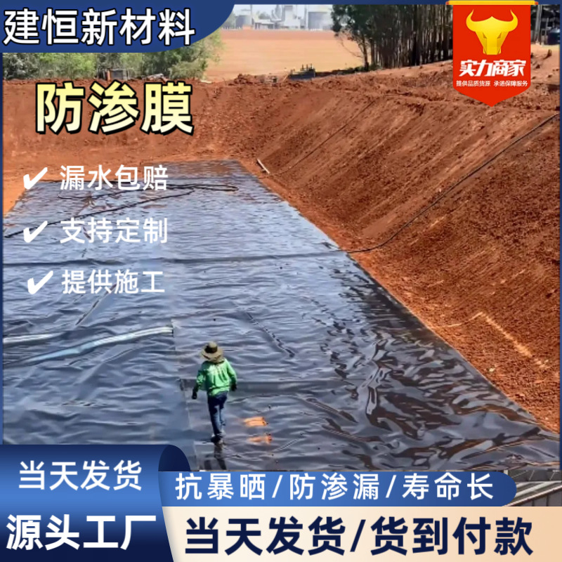 高密度聚乙烯土工膜垃圾场覆盖尾矿库防渗膜水库堤坝1.5mm土工膜
