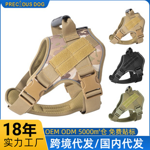 �羳������g�ر��д���Ȯ߅����ë�����_�����ر������K�޹��ر�