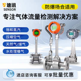 智能防爆涡街流量计蒸汽高精度气体压缩空气流量计液体管道计量表