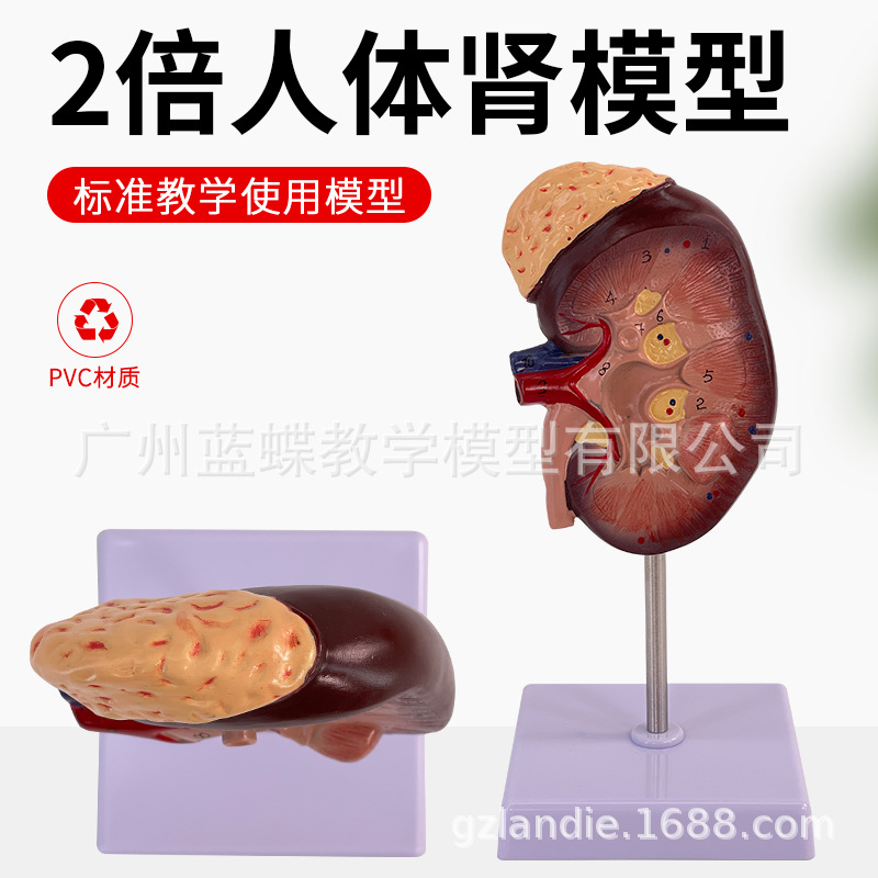 2���Ŵ�����Ŵ�ģ�� �Ŵ�� ������ģ�� 1���� �����������ģ��