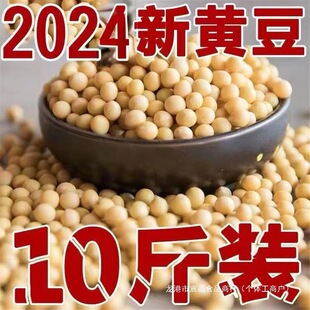26�����S��5��10��|���S���r���ԷN��ȶ��{��ѿ���D�����
