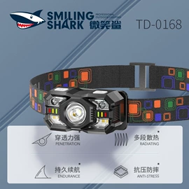 手电筒;头灯头戴电筒;野营/露营灯