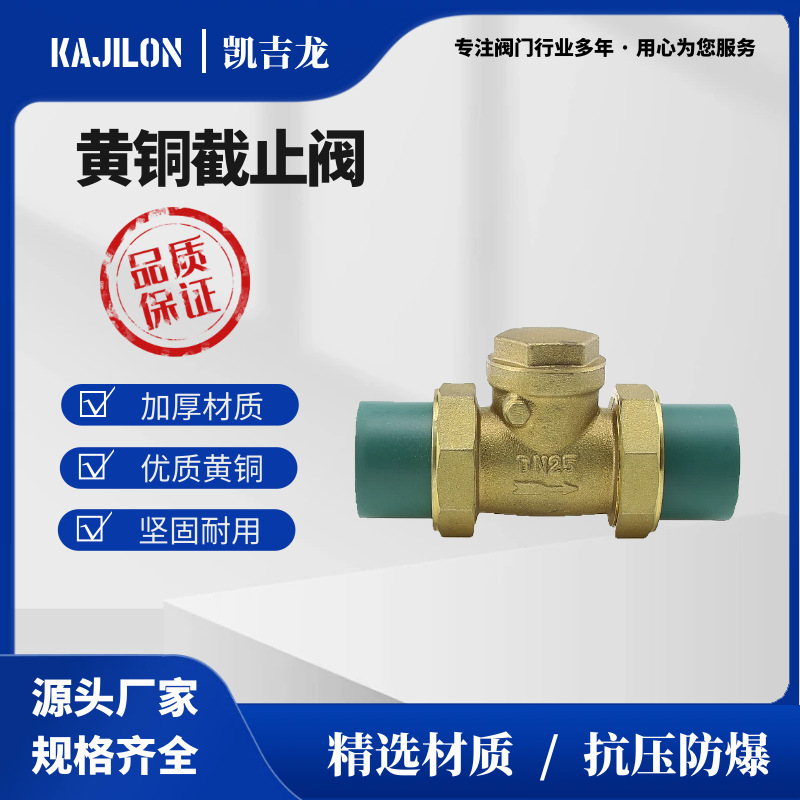 源头厂家  PPR水管止回阀黄铜卧立式逆止双活接