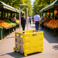 多功能购物车买菜家用两轮折叠购物车户外露营拉杆式露营车手拉车