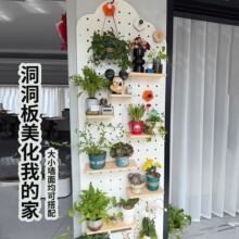 ���P�����匍ľ�b������2025�¿��̨�������ռ{�Gֲ������