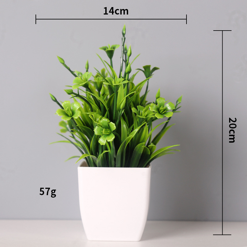 화분에 심은 정향 잔디