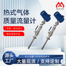 热式气体质量流量计氩气氮气空气管道插入式流量表质量数字化计量
