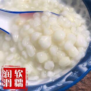 �V���ó�����Ŵ�����^�����׼R�����������^���������������ÓƤ