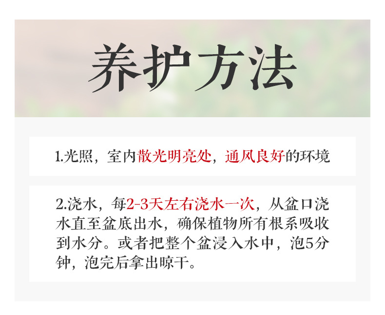 详情图