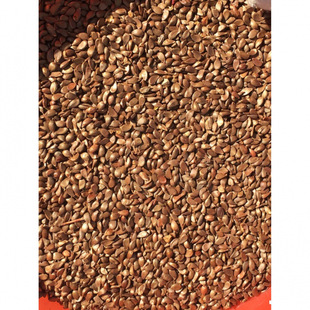 �с����⺣�ķN�Ӽ޽��O���䌣�ú�����ɽ�����Ѯa��ֱ�l���|����