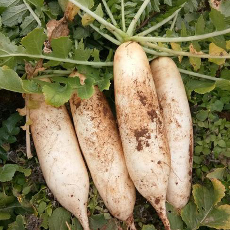 2cfb4ceaaee94bac83e92d8c5cfb64