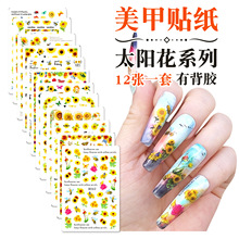 �羳؛Դ �����N  ָ���N ̫ꖻ� 12�� �����b ����D���֙�ؾ�