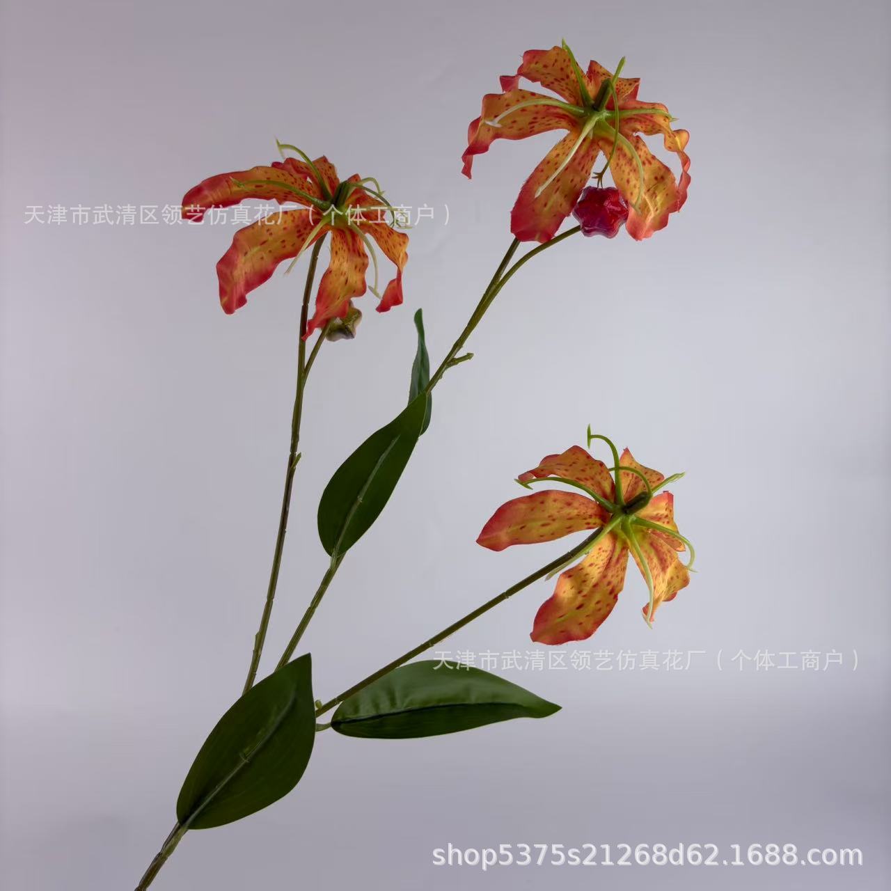 주황색