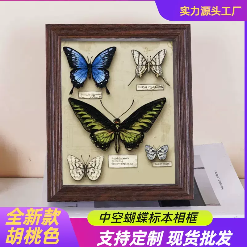 蝴蝶中空标本相框摆台高级感展示框摆件实木干花相框干花标本框