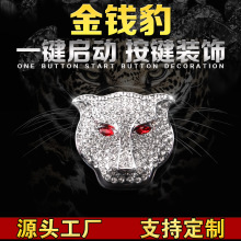 ���X���^һ�I�����b��w�˹���ˮ�����o�c��Ȧ�bh��܇���o�N