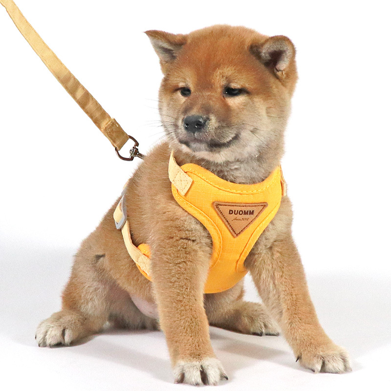 狗狗牵引绳背心式宠物牵引胸背带小型犬泰迪比熊遛狗绳猫咪牵引绳|undefined