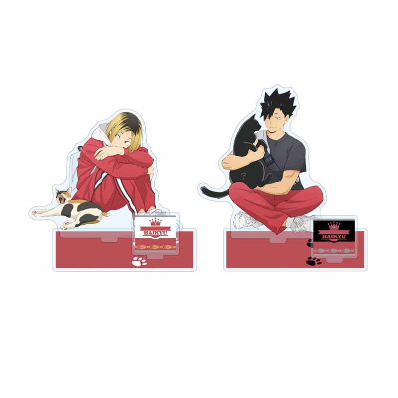 Cat Li Brand Volleyball Youth Surrounding Acrylic Desktop Day to Xiangyang Shadow Mountain Flying Male Black Tail
