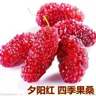 Ϧꖼt̨���L��ɣ�玧���޽�ɣ�ؘ���o�Ѻ�ɣ�����ļ��_���Y����