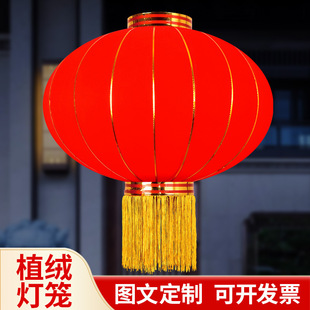 ��tֲ�q���\2025�¿����̨�^�괺��������w���T�m���b���