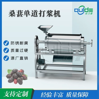 批发出售大型不锈钢桑葚单道打浆机去皮浆渣分离商用工业打浆机
