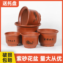 ��ɰ������û����մ��m�������̖����͸�⻨��t�ձ���