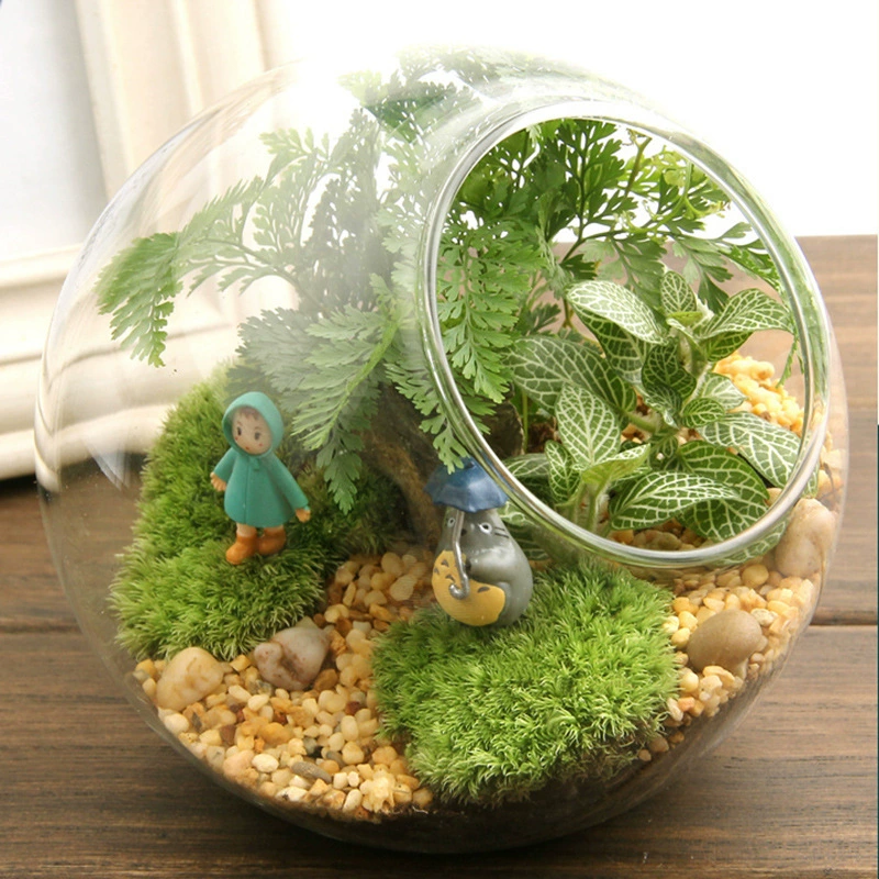 Мосс Микро Пейзаж Экологическая Бутылка Креативный Подарок Офисные Украшения Бутылка Мха Пейзаж Бутылка Сяоми 13 Косой Рот