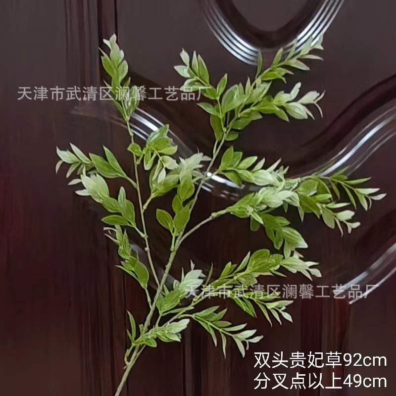 2색 황실 첩 잔디