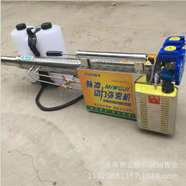 双管黄金版打药弥雾机   汽油背负式烟雾机 防疫消毒烟雾机图片